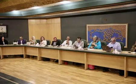 دعاء النجار: المرأة في مصر خلال الـ10 سنوات الأخيرة تعيش مناخا داعما لها