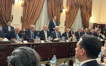 وزير الخارجية: نتشارك مع واشنطن وجهات النظر في عدم وجود حلول عسكرية للأزمة بغزة