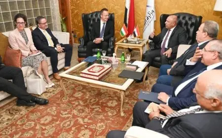 مصر والمجر تبحثان سبل التعاون المشترك في مجالي الصناعة والنقل
