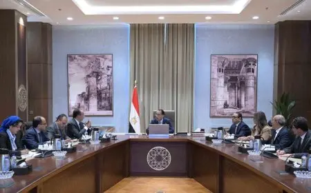 رئيس الوزراء يوجه بوضع مستهدفات محددة لجميع شركات قطاع الأعمال في مصر