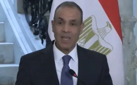 وزير الخارجية: حرصنا على تنفيذ استراتيجية حقوق الإنسان ليس إرضاء لطرف خارجي