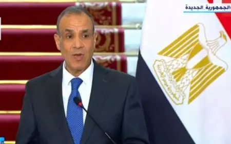 وزير الخارجية: لقاء الرئيس السيسي وبلينكن اتسم بالصراحة وأكد أهمية تطوير العلاقات