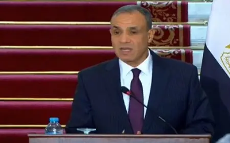 وزير الخارجية: الحاجة ملحة لوقف إطلاق النار في غزة فورا