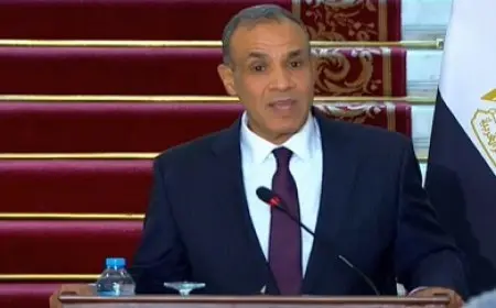 وزير الخارجية: مصر تتعامل مع حماس كفصيل وطني فلسطيني