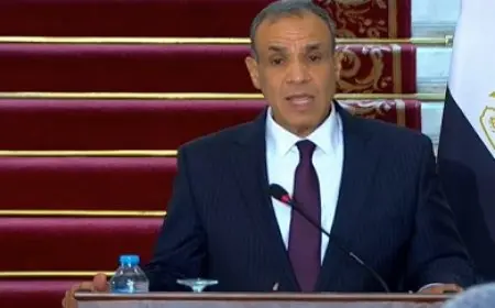 وزير الخارجية: لا يجب وضع الجيش السوداني الوطني في نفس الكفة مع أي أطراف أخرى