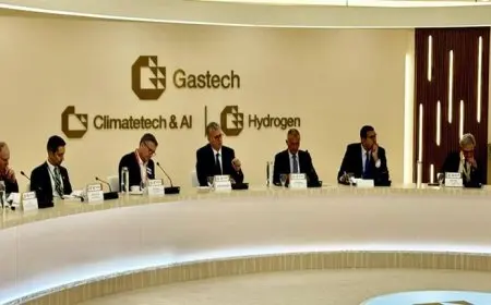 وزير البترول: نسعى إلى تذليل العقبات أمام الشركات الأجنبية بهدف زيادة الاستثمارات