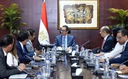 وزير الاستثمار: نسعى لتحويل مصر إلى مركز إقليمي ودولي للطاقة المتجددة