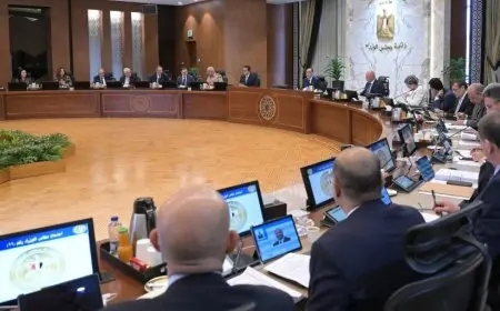 الحكومة تعلن عدد محاضر سرقة الكهرباء على مستوى الجمهورية