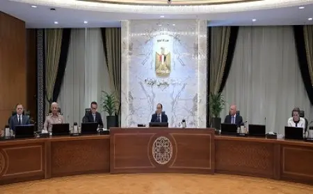 رئيس الحكومة: مصر لن تشهد انقطاعا للكهرباء مرة أخرى