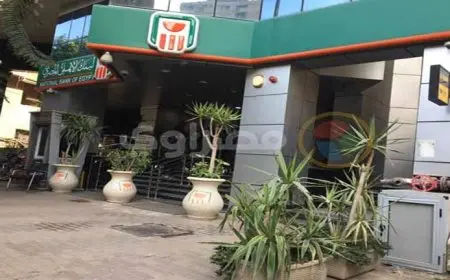 البنك الأهلي 438 مليار جنيه قيمة معاملات التحويلات اللحظية خلال 2023