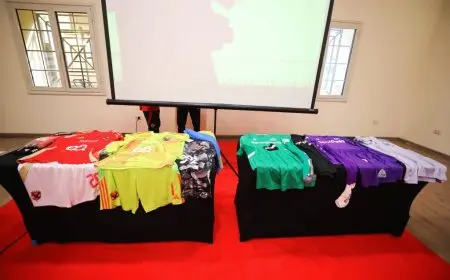 الأهلي يرتدي زيه التقليدي أمام جورماهيا بدوري أبطال إفريقيا