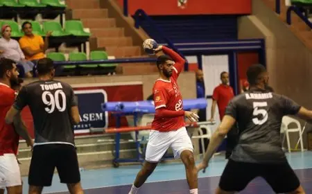 الأهلي يفوز على دلفي في افتتاح دوري كرة اليد للمحترفين