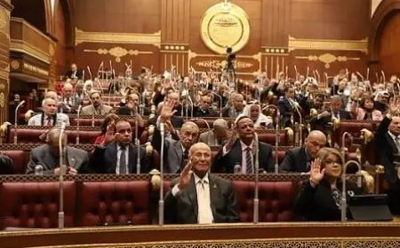 أمين تشريعية الشيوخ: مطالبات إحالة قانون الإجراءات الجنائية إلى المجلس لدراسته ستعطل إخراج القانون