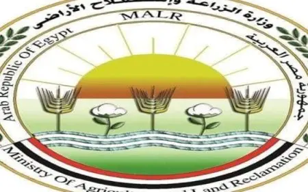 الزراعة: صادرات مصر الزراعية تتجاوز 6.4 مليون طن حتى الآن