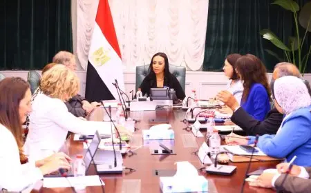 وزيرة التضامن تبحث مع سفير الاتحاد الأوروبي خطة تطوير بنك ناصر