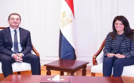 المشاط تبحث تعزيز الشراكة الاستراتيجية مع الوكالة الفرنسية للتنمية لدعم جهود التنمية الاقتصادية