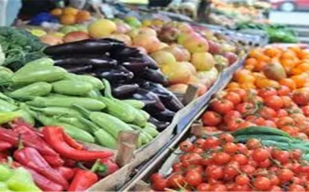 19 جنيها لكيلو البطاطس.. أسعار الخضروات والفاكهة في سوق العبور اليوم السبت