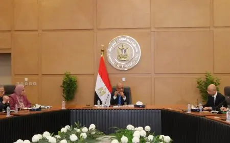 وزير الكهرباء يبحث تعزيز الاستفادة من التكنولوجيا الصينية لتقليل الفقد الكهربائي