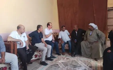 ماذا يحدث في أسوان بعد إصابة العشرات بنزلات معوية.. المحافظ يكشف التفاصيل