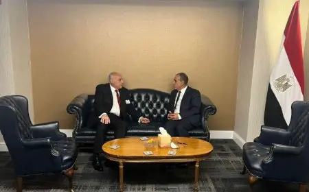 وزير الخارجية ونظيره الجزائري: تكثيف التنسيق والتعاون بما يخدم جهود تحقيق الأمن والاستقرار