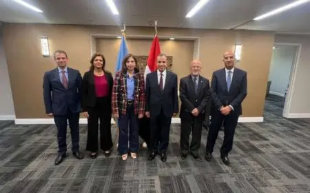 وزير الخارجية: مصر ملتزمة بتحقيق التنمية المستدامة في أبعادها الثلاثة الاقتصادية والاجتماعية والبيئية