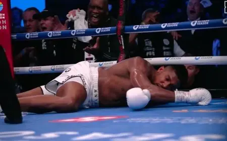 دوبوا يهزم أنتوني جوشوا بالضربة القاضية في نزال ويمبلي