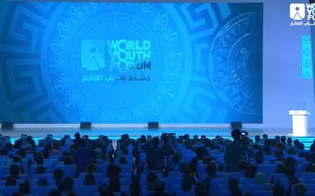 النائب محمود القط: منتدى شباب العالم أصبح على أجندة مجلس شباب الأمم المتحدة