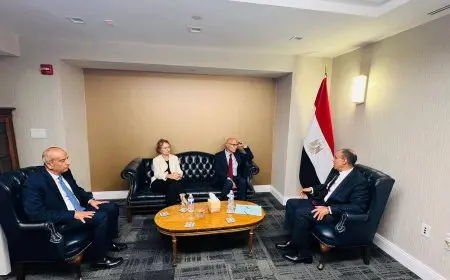 وزير الخارجية يلتقي المفوض السامي لحقوق الإنسان