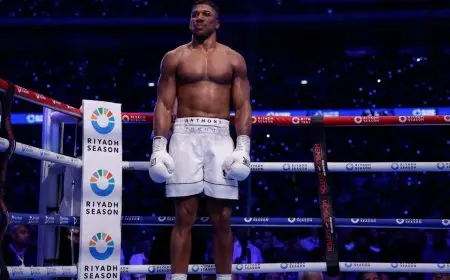 جوشوا يتعهد بمواصلة القتال رغم الخسارة بالضربة القاضية