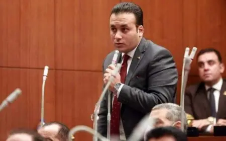 النائب عمرو فهمي: مشاركة منتدى شباب العالم في قمة المستقبل نجاح للجهود المصرية في تعزيز دور الشباب وتمكينهم