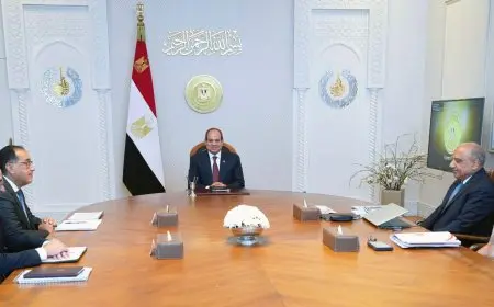 الرئيس السيسي يجتمع مع رئيس الوزراء ووزير الكهرباء