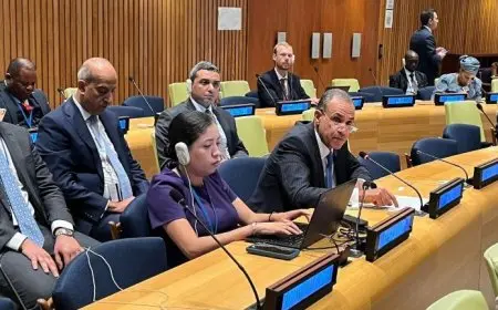 وزير الخارجية: مصر تتطلع لنجاح المساعي الدولية لاستحداث اتفاقية إطارية بشأن التعاون الضريبي الدولي