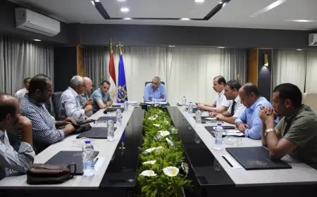 محافظ أسوان: معدلات الوفيات في المحافظة طبيعية