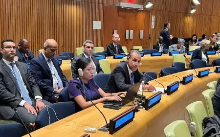 وزير الخارجية: من الضروري إصلاح المؤسسات المالية الدولية