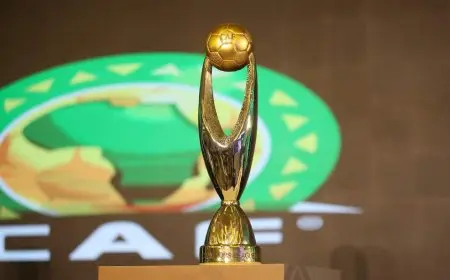 مستويات قرعة دور المجموعات بدوري أبطال أفريقيا.. الأهلي قد يقع مع بيراميدز