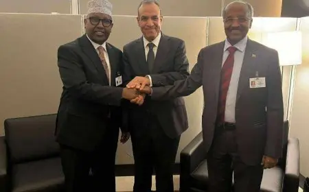عبد العاطي يلتقي نظيريه الصومالي والإريتريي في اجتماع ثلاثي مشترك