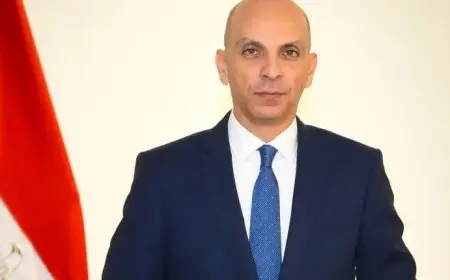 الخارجية: استمرار الدعم العسكري المصري للصومال الشقيق