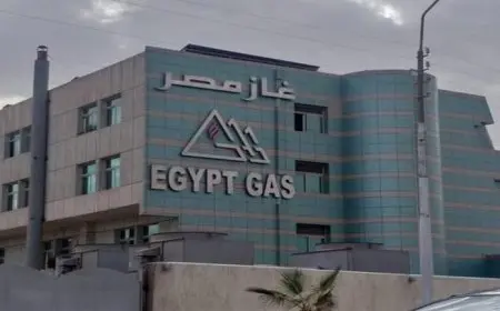 مصادر تكشف: هل تحرك السيادي السعودي للاستحواذ على “غاز مصر”؟