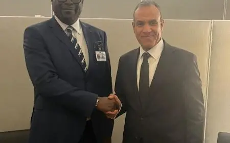 عبد العاطي يلتقي مع وزير خارجية الجابون على هامش اجتماعات الجمعية العامة