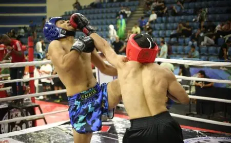 1350 لاعب في بطولة الجمهورية للأندية للكيك بوكسيج المؤهلة للبطولة العربية