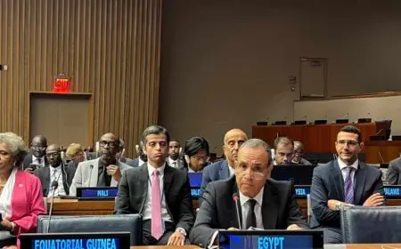 عبد العاطي يلقي كلمة مصر باجتماع وزراء خارجية دول عدم الانحياز على هامش الدورة الـ79 للجمعية العامة للأمم المتحدة