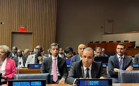 وزير الخارجية: الاستقرار لن يتحقق في الشرق الأوسط إلا بانسحاب إسرائيل من الأراضي المحتلة