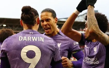 فان دايك يدعو داروين نونيز للحفاظ على هدوئه