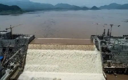 وزير الخارجية يوضح الموقف من السد النهضة: لن نفرط في قطرة واحدة من مياه النيل