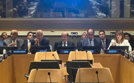 وزراء الخارجية العرب يحذرون من تداعيات العدوان على لبنان