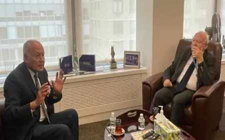 أبو الغيط يحذر من استمرار الإجرام الإسرائيلي في فلسطين ولبنان