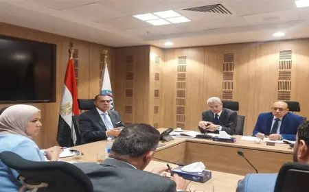 لجنة مشتركة بين وزارة المالية والضرائب وتنمية المشروعات للوصول إلى صيغة قانونية توافقية