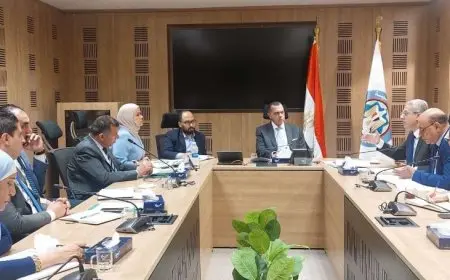 الضرائب: لجنة مشتركة مع المالية وتتمية المشروعات للتوصل لصيغة قانونية لتطبيق التسهيلات الضريبية