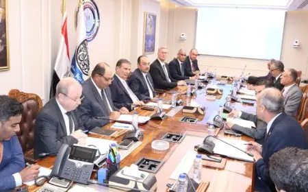 وزراء الزراعة وقطاع الأعمال والبترول يبحثون سبل تشجيع صناعة الأسمدة والتوسع إنتاجها