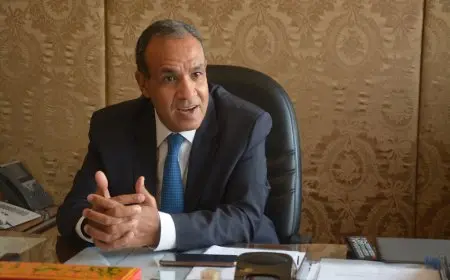 وزير الخارجية: الجهود المصرية لن تتوقف حتى التوصل إلى وقف لإطلاق النار في غزة